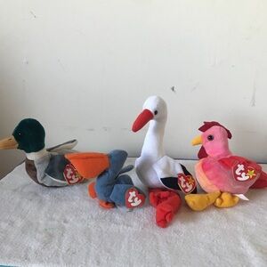 Rare 1993-98 Ty Beanie Bird Bundle